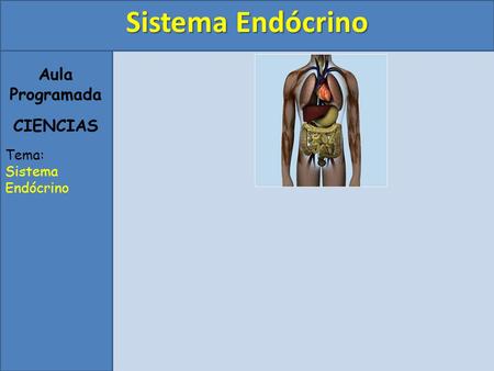 Sistema Endócrino Aula Programada CIENCIAS Tema: Sistema Endócrino.
