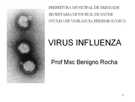 “GRIPE” A influenza ou gripe é uma infecção viral aguda do sistema respiratório que tem distribuição global e elevada transmissibilidade. Classicamente,