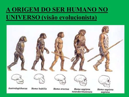 A ORIGEM DO SER HUMANO NO UNIVERSO (visão evolucionista)