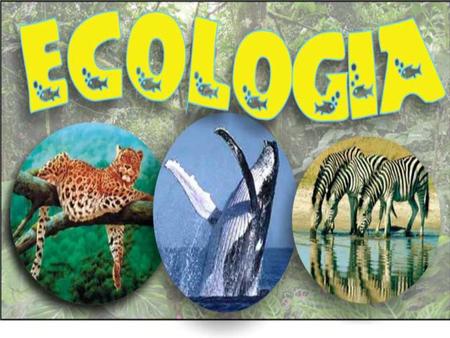 O que é Ecologia? É o estudo das relações dos seres vivos entre si e com o meio ambiente em que vivem.
