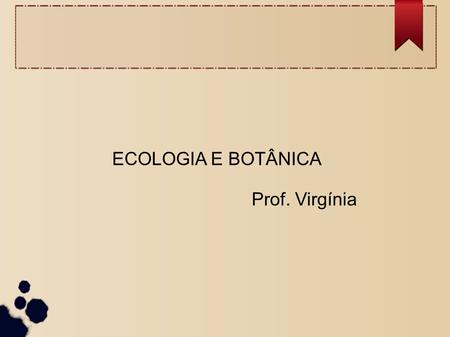 ECOLOGIA E BOTÂNICA Prof. Virgínia.