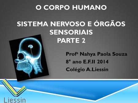 O corpo humano sistema nervoso e órgãos sensoriais parte 2