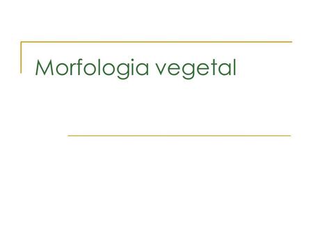 Morfologia vegetal.