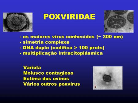 POXVIRIDAE - os maiores vírus conhecidos (~ 300 nm)