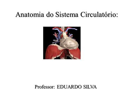 Professor: EDUARDO SILVA