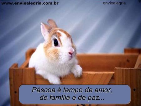 Páscoa é tempo de amor, de família e de paz... enviealegria ® www.enviealegria.com.br.