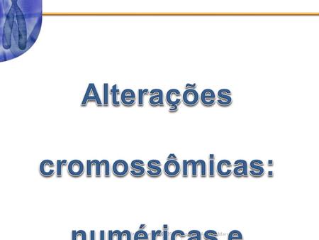 Alterações (ou Aberrações) cromossômicas são anormalidades no número ou na estrutura dos cromossomos