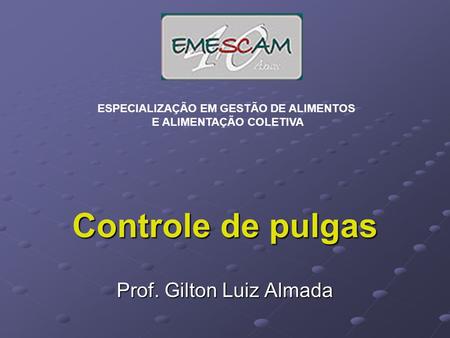 Prof. Gilton Luiz Almada