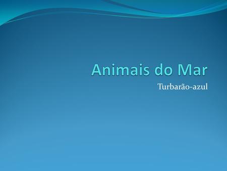 Animais do Mar Turbarão-azul.