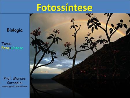 Fotossíntese Biologia Tema: Fotossíntese Prof. Marcos Corradini