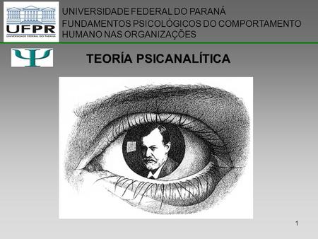 TEORÍA PSICANALÍTICA UNIVERSIDADE FEDERAL DO PARANÁ