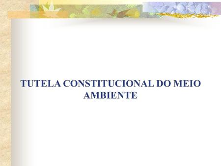 TUTELA CONSTITUCIONAL DO MEIO AMBIENTE