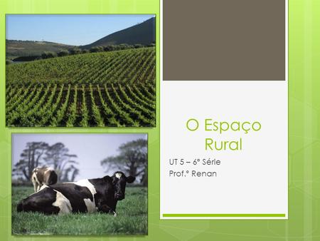 O Espaço Rural UT 5 – 6ª Série Prof.º Renan.