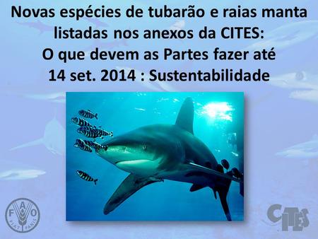 Novas espécies de tubarão e raias manta listadas nos anexos da CITES: O que devem as Partes fazer até 14 set. 2014 : Sustentabilidade.
