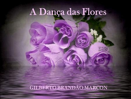 A Dança das Flores GILBERTO BRANDÃO MARCON.