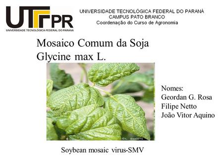 Mosaico Comum da Soja Glycine max L. Nomes: Geordan G. Rosa