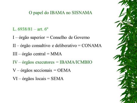 O papel do IBAMA no SISNAMA