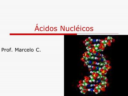 Ácidos Nucléicos Prof. Marcelo C..