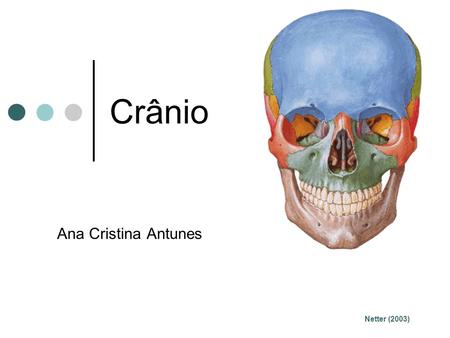 Crânio Ana Cristina Antunes Netter (2003).