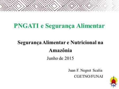 PNGATI e Segurança Alimentar Segurança Alimentar e Nutricional na Amazônia Junho de 2015 Juan F. Negret Scalia CGETNO/FUNAI.