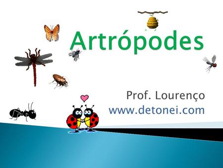 Prof. Lourenço www.detonei.com Artrópodes Prof. Lourenço www.detonei.com.