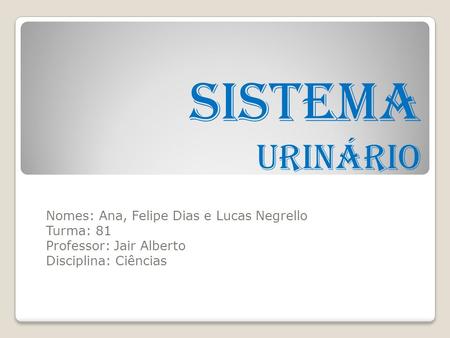 Sistema Urinário Nomes: Ana, Felipe Dias e Lucas Negrello Turma: 81
