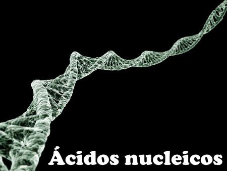 Ácidos nucleicos.