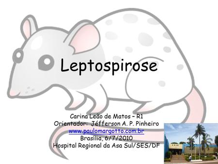 Leptospirose Carina Leão de Matos – R1