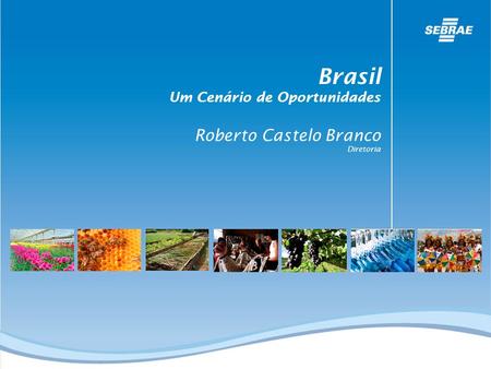 Brasil Um Cenário de Oportunidades Roberto Castelo Branco Diretoria.