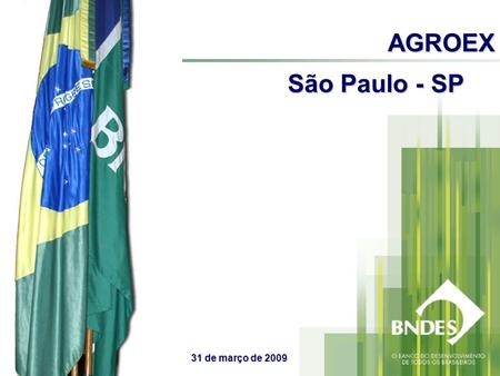 AGROEX São Paulo - SP 31 de março de 2009. Áreas de atuação Inovação Infraestrutura Bens de Capital Micro, Pequenas e Médias Empresas Capacidade Produtiva.