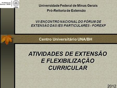 Universidade Federal de Minas Gerais VII ENCONTRO NACIONAL DO FÓRUM DE EXTENSÃO DAS IES PARTICULARES - FOREXP Pró-Reitoria de Extensão Centro Universitário.