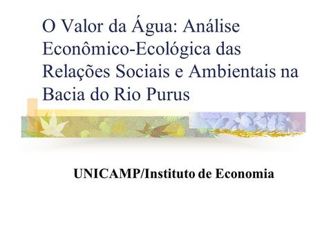 O Valor da Água: Análise Econômico-Ecológica das Relações Sociais e Ambientais na Bacia do Rio Purus UNICAMP/Instituto de Economia.