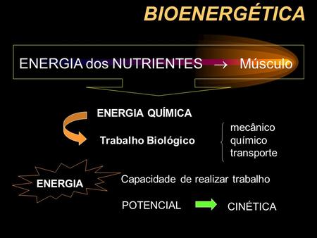 BIOENERGÉTICA ENERGIA dos NUTRIENTES  Músculo ENERGIA QUÍMICA