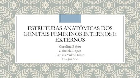 Estruturas Anatômicas dos Genitais Femininos Internos e Externos