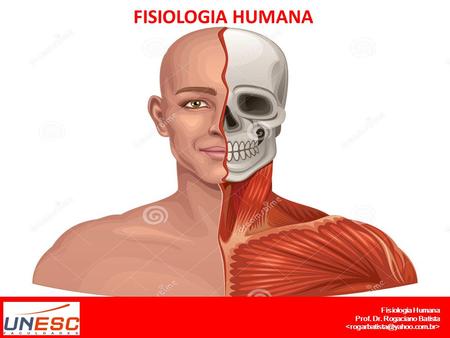 FISIOLOGIA HUMANA Fisiologia Humana Prof. Dr. Rogaciano Batista