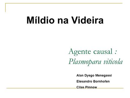 Agente causal : Plasmopara viticola