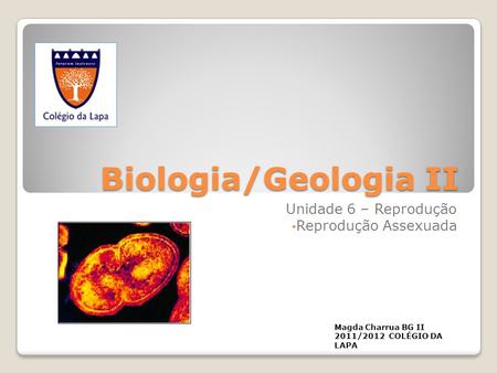 Biologia/Geologia II Unidade 6 – Reprodução Reprodução Assexuada Magda Charrua BG II 2011/2012 COLÉGIO DA LAPA.