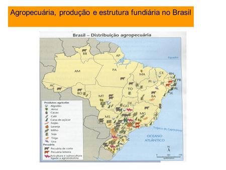 Agropecuária, produção e estrutura fundiária no Brasil
