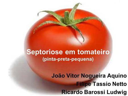 Septoriose em tomateiro (pinta-preta-pequena)