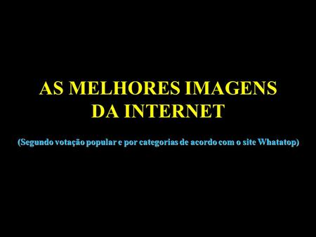 AS MELHORES IMAGENS DA INTERNET (Segundo votação popular e por categorias de acordo com o site Whatatop)