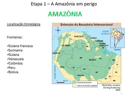 Etapa 1 – A Amazônia em perigo