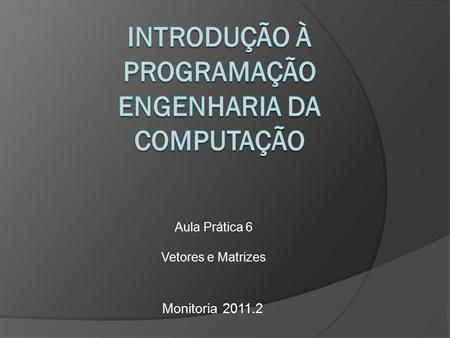 Aula Prática 6 Vetores e Matrizes Monitoria 2011.2.