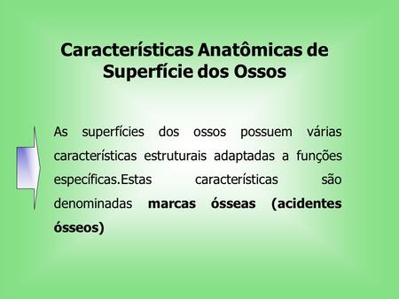 Características Anatômicas de Superfície dos Ossos