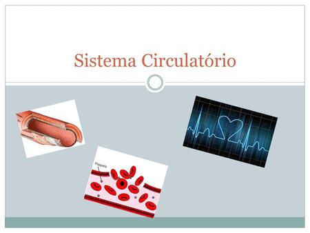 Sistema Circulatório.
