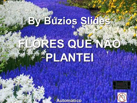 By Búzios Slides FLORES QUE NÃO PLANTEI Automático.