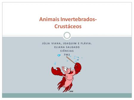 JÚLIA VIANA, JOAQUIM E FLÁVIA. ELIANA SALGADO CIÊNCIAS7M2 Animais Invertebrados- Crustáceos.