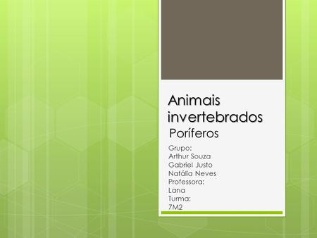 Animais invertebrados Poríferos Grupo: Arthur Souza Gabriel Justo Natália Neves Professora: Lana Turma: 7M2.