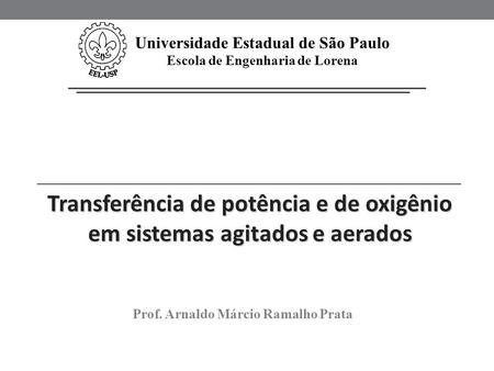 Universidade Estadual de São Paulo Escola de Engenharia de Lorena