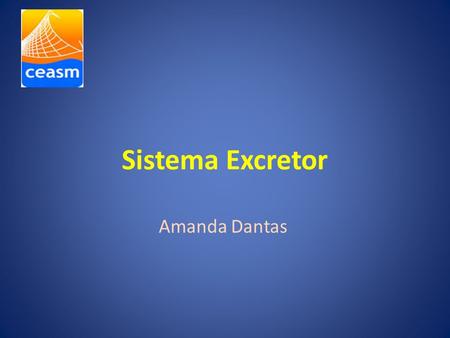 Sistema Excretor Amanda Dantas.