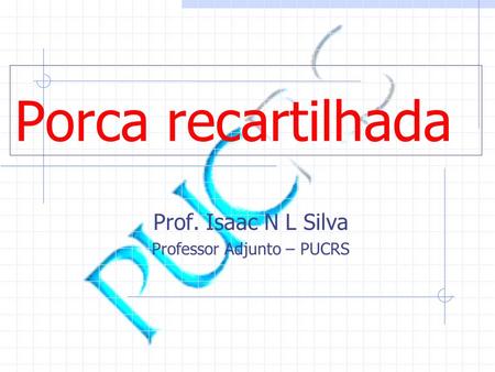 Porca recartilhada Prof. Isaac N L Silva Professor Adjunto – PUCRS.